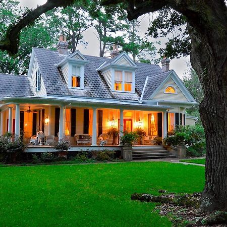 Clermont Bluffs Bed & Breakfast Natchez Ngoại thất bức ảnh