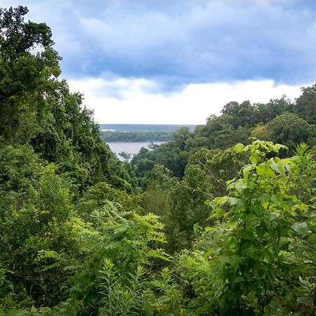 Clermont Bluffs Bed & Breakfast Natchez Ngoại thất bức ảnh