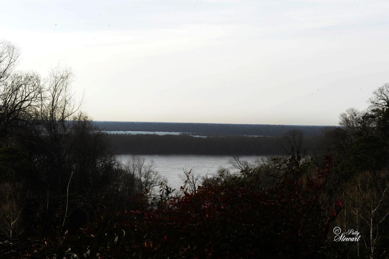Clermont Bluffs Bed & Breakfast Natchez Ngoại thất bức ảnh
