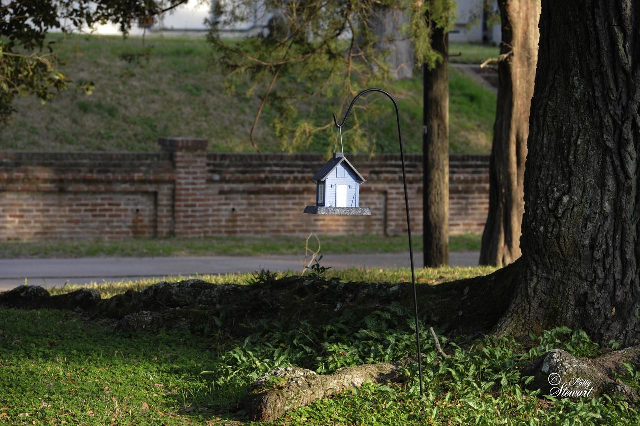 Clermont Bluffs Bed & Breakfast Natchez Ngoại thất bức ảnh