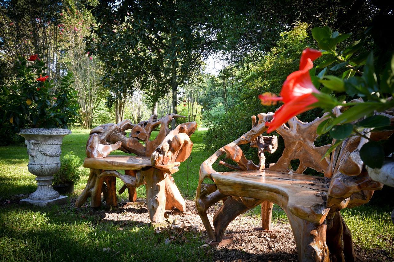 Clermont Bluffs Bed & Breakfast Natchez Ngoại thất bức ảnh