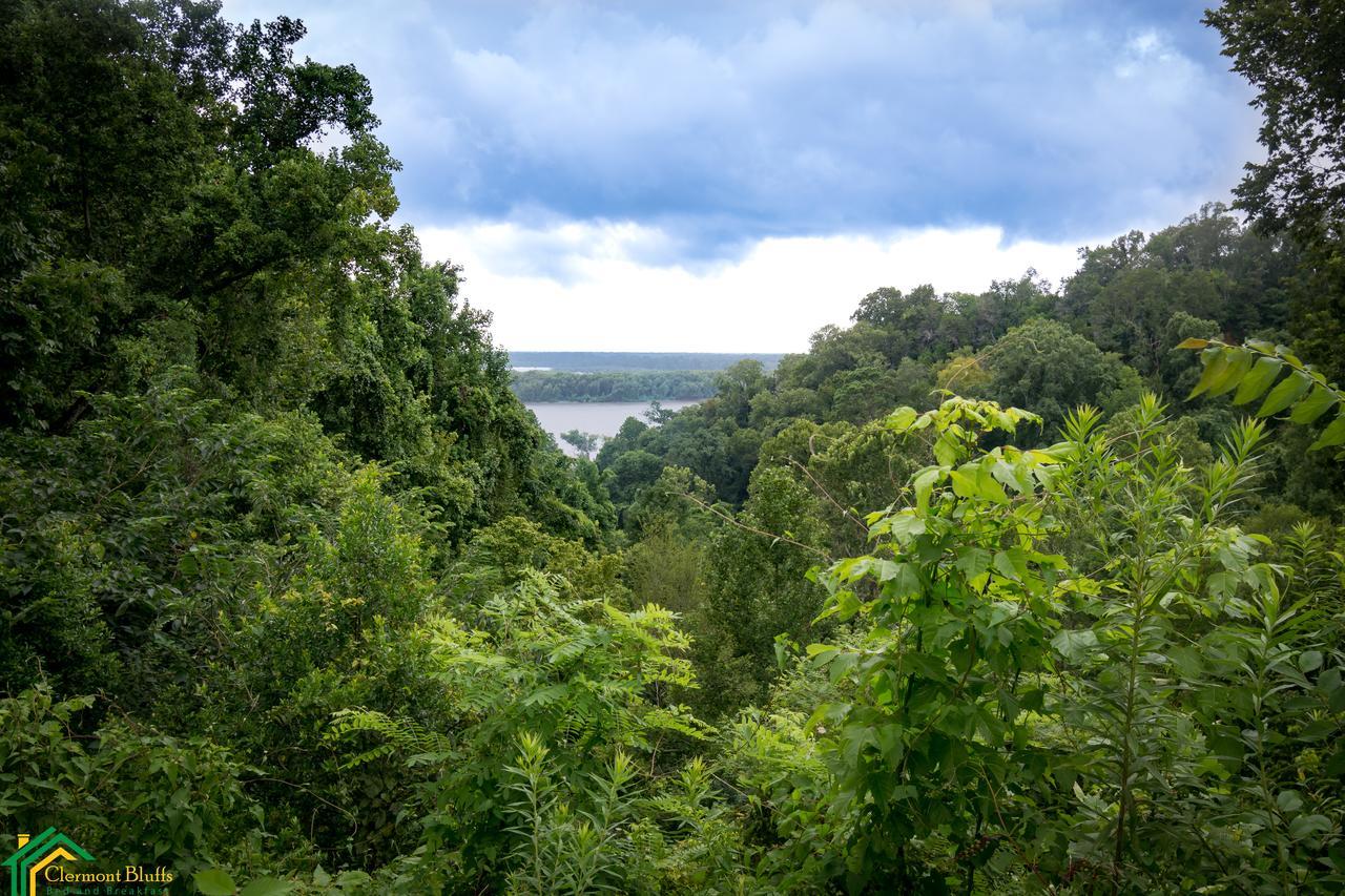 Clermont Bluffs Bed & Breakfast Natchez Ngoại thất bức ảnh